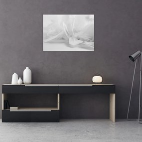 Obraz - Perie (70x50 cm)