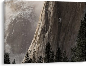 Obraz z údolia Yosemite národnej parku, USA (70x50 cm)