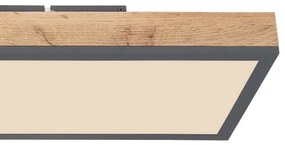 Globo 416080WD4-CCT - LED Stmievateľné stropné svietidlo DORO LED/24W/230V + DO