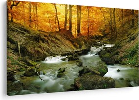 Obraz - Les (90x60 cm)