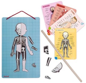 Janod - Magnetická skladačka BODYMAGNET ľudské telo