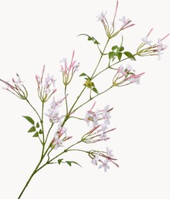 Rastlinné dekorácie Jasmin, 2 ks
