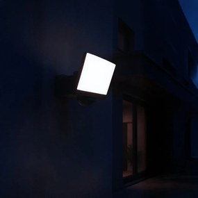 Exteriérové nástenné LED svietidlo Davos, 1x LED 30w, 4000k, čierna, pohybový senzor