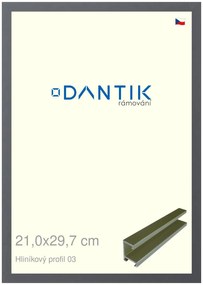 DANTIK rám na obraz 21x29,7 | ALU Platina matná (Sklo Čiré)