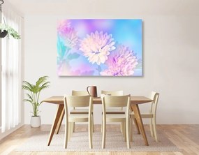 Obraz kvet chryzantémy - 120x80