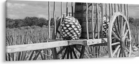 Obraz - Prívesný vozík, čiernobiela (120x50 cm)