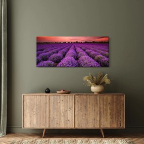 Obraz - Levanduľové pole (120x50 cm)