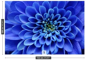 Fototapeta Vliesová Modrý kvet 312x219 cm