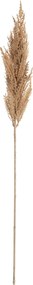 Vetvička trávy pampas 90cm beige