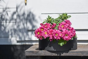 Miska na dekorácie CIRCULO, sklolaminát, Ø 30 cm, antracit