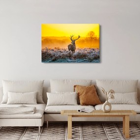 Obraz - Jeleň pri východe slnka (90x60 cm)