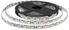 ECOLIGHT LED pásik - SMD 5050 - 5m - 60LED/m - 14,4 W/m - IP65 - červená + modrá