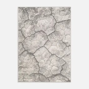 Koberec vzor stromovej kôry, sivý MIRACLE 200x290 cm A1004