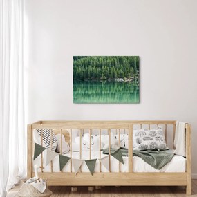 Obraz - Ihličnany pri jazere (70x50 cm)