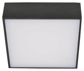 Azzardo Azzardo AZ2783 - LED Stropné svietidlo FALCO LED/12W/230V AZ2783