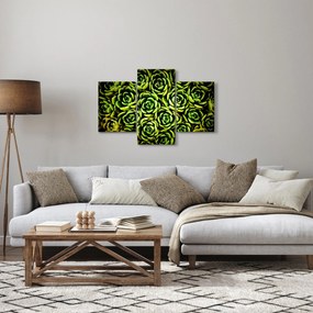 Obraz skalníc (90x60 cm)