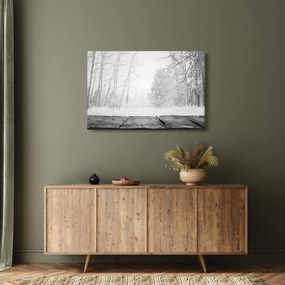 Obraz - Drevené mólo v zime (90x60 cm)