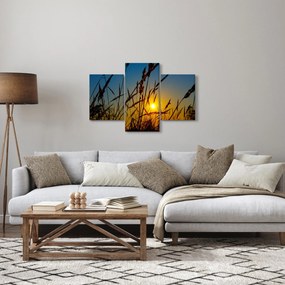 Obraz - Západ slnka v lúke (90x60 cm)