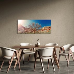 Obraz stromu v púšti (120x50 cm)