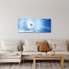 Obraz - Božia holubica (120x50 cm)
