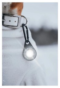 LED svetlo na obojok White – Orbiloc