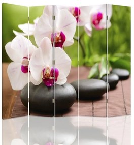 Gario Paraván Orchidea a šumivé kamene Rozmery: 180 x 170 cm, Prevedenie: Klasický paraván