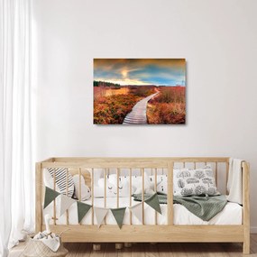 Sklenený obraz - Jesenná cesta krajinou (70x50 cm)