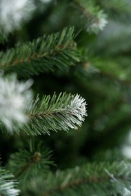 Vianočný stromček Konrad 240 cm