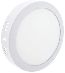 LED Stropné svietidlo LED/12W/230V 4200K pr. 16 cm biela