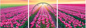 Obraz poľa tulipánov so slnkom (s hodinami) (90x30 cm)