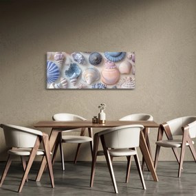 Obraz - Zbierka mušlí (120x50 cm)