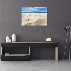 Sklenený obraz - Mušle na pláži (70x50 cm)