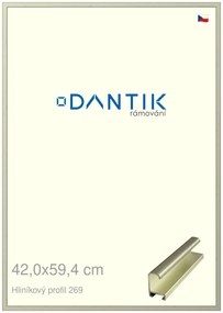 DANTIK rám na obraz 42x59,4 | ALU Šedá Pyrit broušená (Plexi Čiré)
