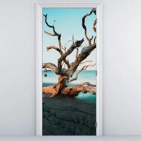 Fototapeta na dvere - Vyplavené na pláži (95x205cm)