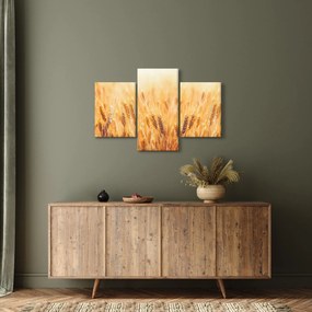 Obraz - pole s obilím (90x60 cm)