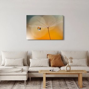 Obraz - Makro kvetu (90x60 cm)