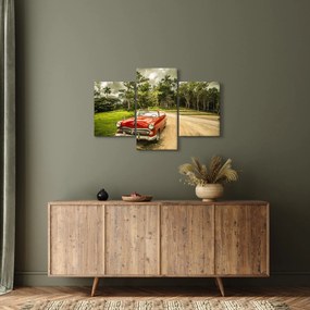 Obraz - auto veterán v prírode (90x60 cm)