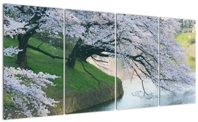 Obraz kvitnúcich stromov