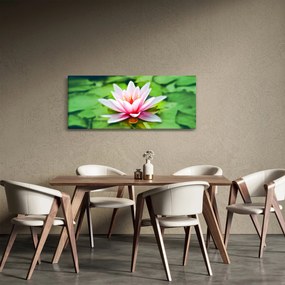 Obraz lekna na hladine (120x50 cm)