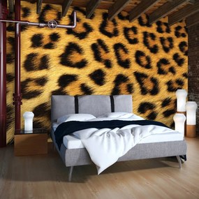 Fototapeta - Leopardia srsť (254x184 cm)