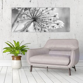 Obraz - Kvetina v zime (120x50 cm)