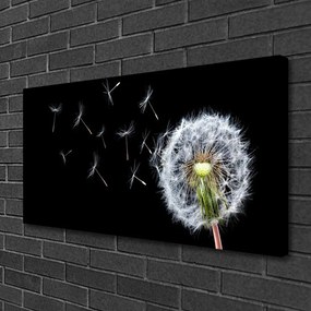 Obraz Canvas Púpavy kvety príroda 120x60 cm