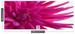 Fototapeta Vliesová Dahlia pink 152x104 cm