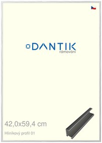 DANTIK rám na obraz 42x59,4 | ALU Stříbrná lesklá (Plexi Čiré)