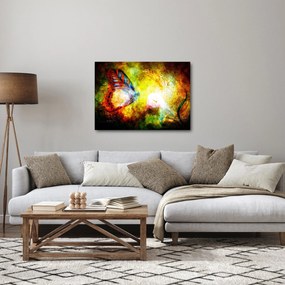 Obraz - Kozmický motýľ (70x50 cm)