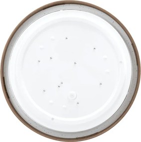 BRILAGI - LED stropné svietidlo NATURA LED/12W/230V 4000K pr. 26,3 cm