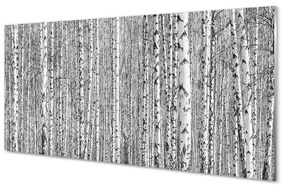 Sklenený obraz Čierna a biela strom les 100x50 cm