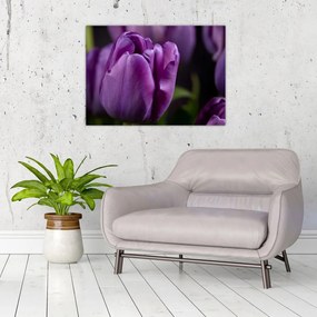 Sklenený obraz kvetov tulipánov (70x50 cm)