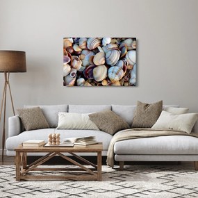 Obraz mušlí (90x60 cm)