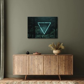 Obraz - Neónový trojuholník v jungli (70x50 cm)